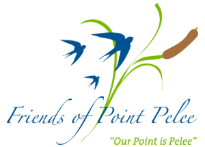 Friends of Point Pelee