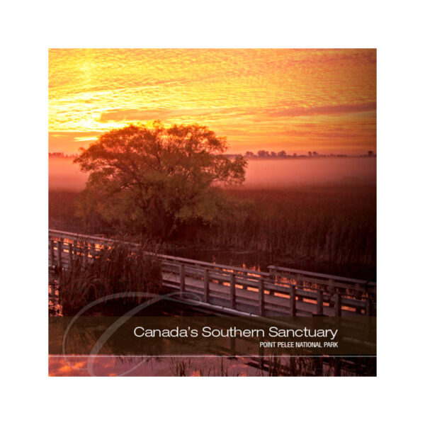 Canada's Southern Sanctuary - Point Pelee National Park