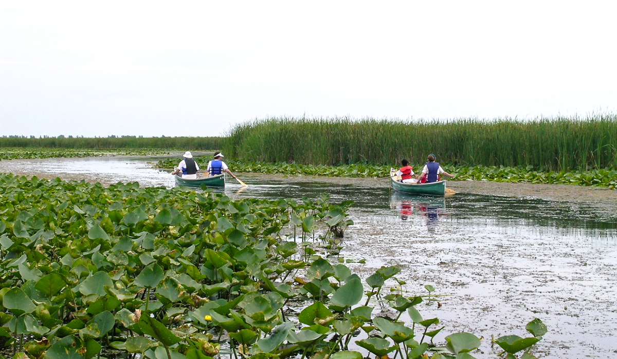 Canoe