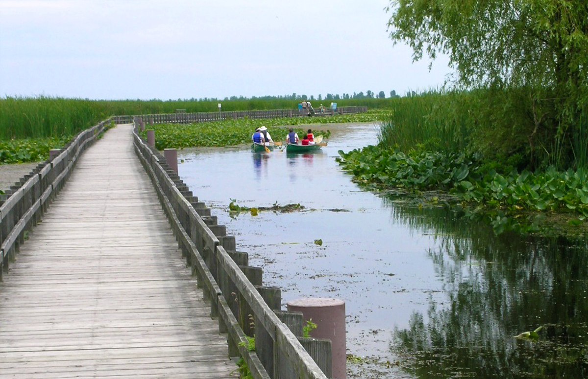 Marsh store