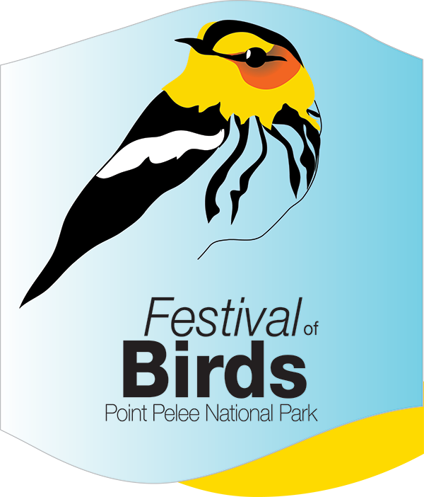 Festival of Birds